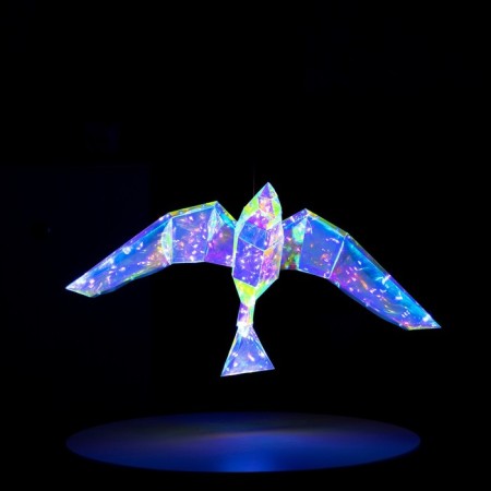 LED figure "Bird" 55 × 14 × 36 cm, plastic, 220 V, glow of white-4