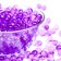 Aquagrunt purple, 100 g