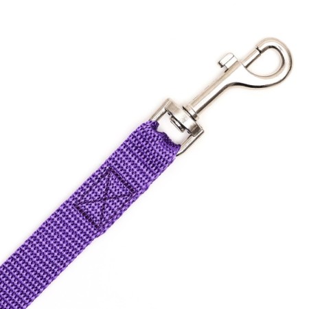 Leash of kapron -colored zoonik, 2 m x 2 cm, mix of flowers-4