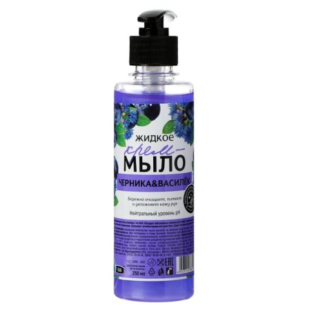 Cream-soap antibacterial Rain Blueberry-vasilery dispenser, 250 ml