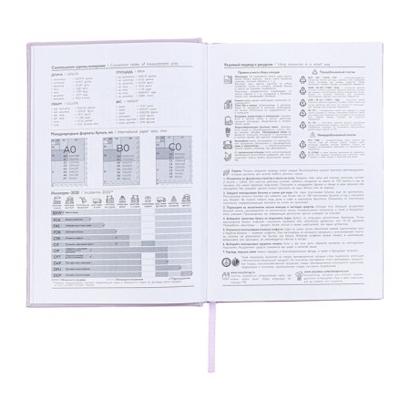 Dated 2025 diary, A5, 176 sheets of Escalada, a solid cover of artificial leather with foam rubber, pancake embossing, liesse, block 70 g/m2, lilac-8