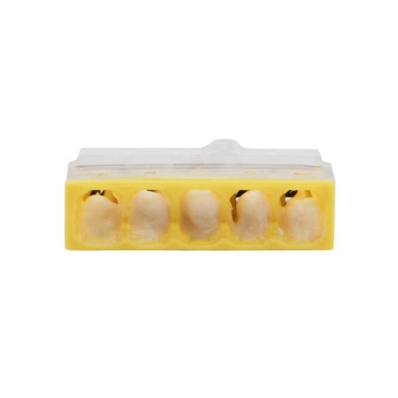 Express Klem with Paste Rexant QMC 2273-245, 5-wire 0.5-2.5 mm², transparent, blister (20 pcs.-2