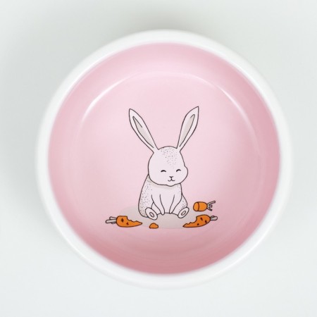 Ceramic bowl for rabbits 200 ml 10 x 3.7 cm, pink/white-4