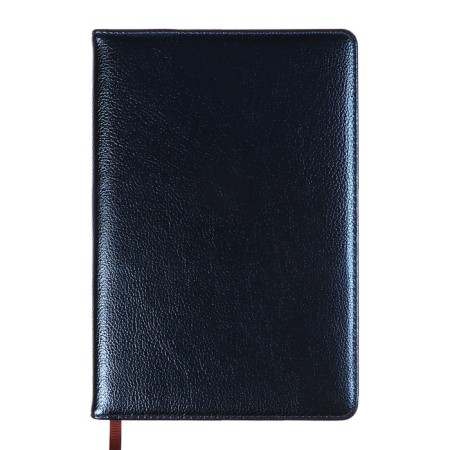Deliciper is low, PVC cover, A5 format, 140 l, cell, metallic blue-1
