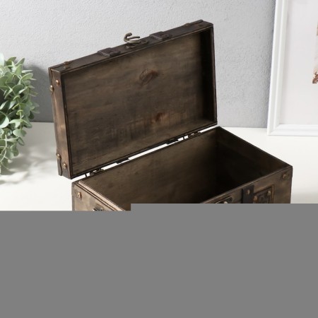 Casket chest "Palmyra" 28x16x16 cm-3