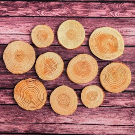 Saw a tree "larch", round, d = 3-4 cm, h = 3.5 mm-1