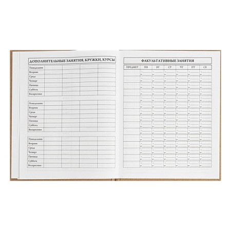 Universal Diary 5-11 classes, 48 ​​sheets "graffitist", craft, solid cover, foil embossing, block 65g/m2-6