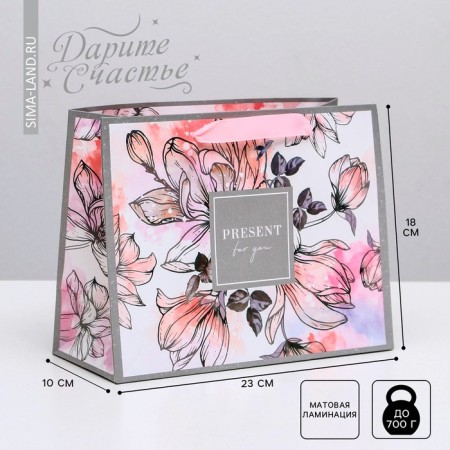 Gift Laminated Horizontal Package, Packaging, Present for You, MS 23 x 18 x 10 cm