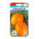Seed Tomata "Buyan" Yellow, Early Ned, 20 pcs