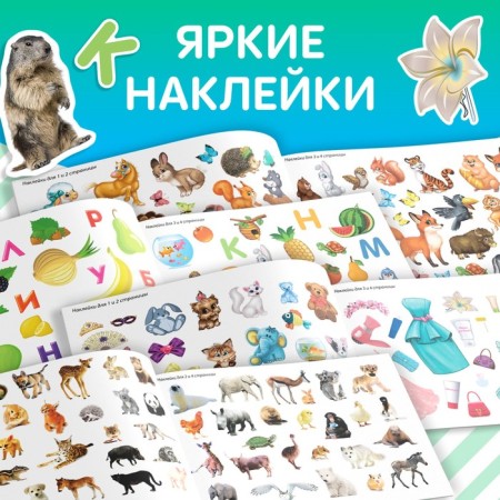 100 stickers set "Developing", 4 pcs. 12 p.-2