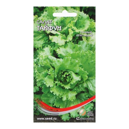 Salad Seedfun Salad, 440 pcs