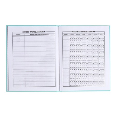 School diary for grades 1-11, "turquoise", covered paper cover, hard binding cardboard 7BC, matte lamination, universal cheat sheet, 48 sheets, block 65g/m2-4