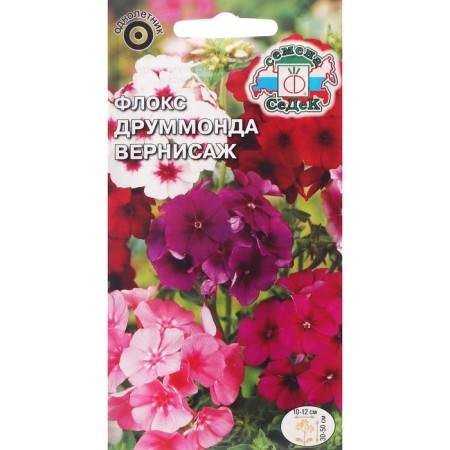 Flowers Flox "Vernissage" 0.25 g