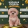 Копилка "Щенок Пудель " 14,5 х 10 х 14 см.