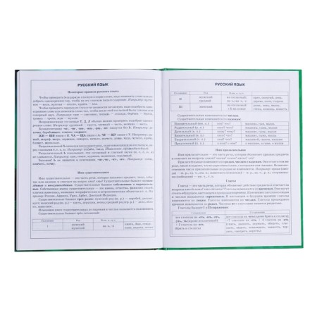 Diary for grades 1-4, solid cover "Drafting", glossy lamination, block 60g/m²-14
