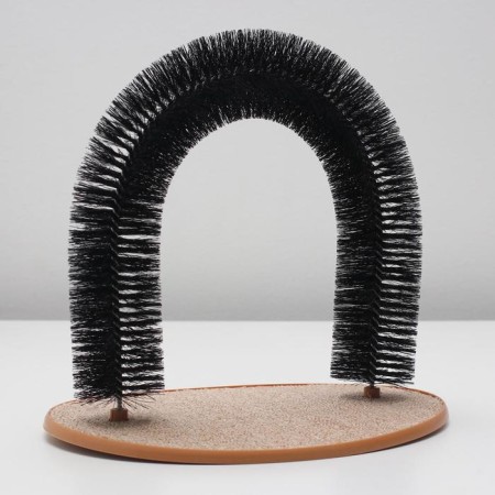 Complex for cats with claws and arch arch