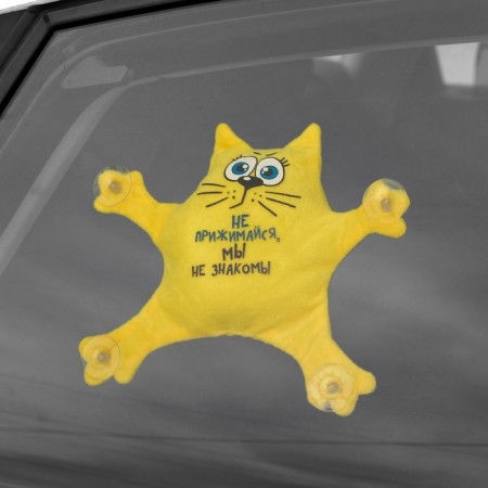 Auto -toe "Do not press, we are not familiar", cat, on suction cups-2