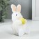 Souvenir "Bunny with the testicle" 6.5x7x11.5 cm