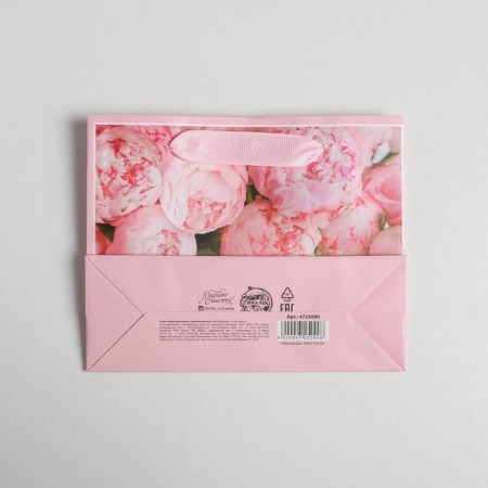 Gift Laminated Horizontal Package, Packaging, For You, S 15 x 12 x 5.5 cm-3