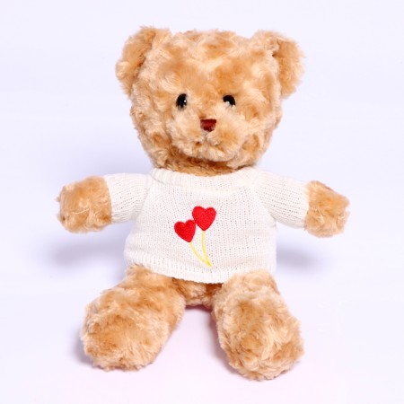 Soft toy "Bear in a T -shirt", Mix colors-12