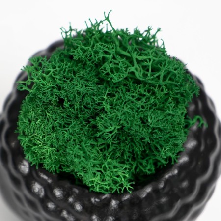 Concrete Kashpo "Buddha" with moss 7*6 cm black (moss green stabilized)-4