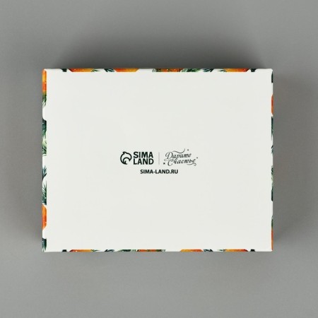 Folding box with a plastic cover of the "Happy New Year", 11.5 x 9 x 4 cm, New Year-3