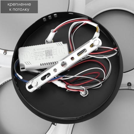 Causteen with PDD 59119/4BK LED 80W 3000-6000k Dimmer black 60x40x10 cm Bayerlux-9
