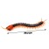 The radio -controlled animal "Stiring" works on the battery, light, mix