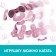 Robot Dog “Smart friend”, interactive: with sound recording, light, sound, sensory, musical, batteries, pink