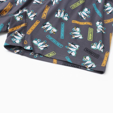 Panties men's boxers, Penguin color/Gray, Rr. 54 (XXL)-1