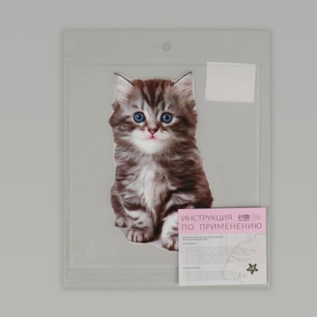 Thermalrotransfer "Kitten", 11.6 × 19 cm-5