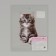 Thermalrotransfer "Kitten", 11.6 × 19 cm