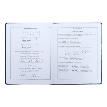 School diary for grades 1-11 "sneakers", firm covering with artificial leather foam, metal cutters, 48 ​​sheets, an offset block 80g/m2, universal cheat sheet-11