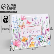 Gift Package Laminated, packaging, “Congratulations on March 8”, ML 25 x 21 x 8 cm