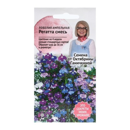 Lobelia flowers "regatta mixture", 10 pcs