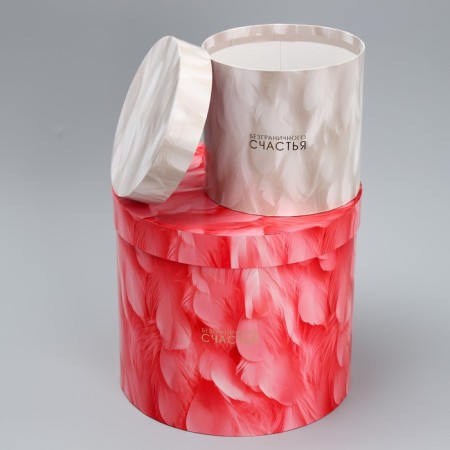 Set of hats 5 in 1, gift packaging, “feathers”, 13 x 14 - 19.5 x 22 cm-3