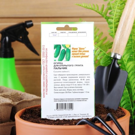 Seeds of cucumber "finger", early -grown, parthenocarpic, 10 pcs-3