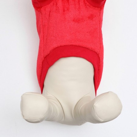 Sweatshirt "Chamomile", Velsoft, Size M, Red (DS 28, Osh 24, OG 38 cm)-3