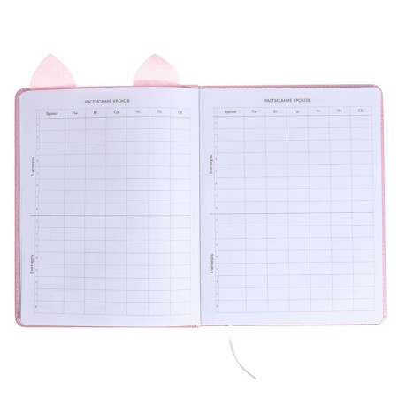 Universal diary for grade 1-11 Cat’s Eyes, hard cover, artificial leather, foam rubber, liesse, 80 g/m2-4