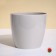 Flower pot, d = 21 cm, 5.2 l, plastic, beige