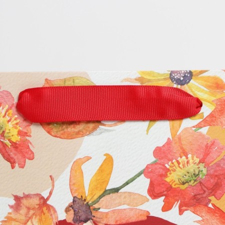 Package Gift Laminated Vertical, Packaging, "Dear Teacher", ML 27 x 23 x 11.5 cm-3