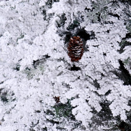 Christmas tree "Snow Elite" with cones (mixed branches) 240 cm d of the lower tier 155 cm 824 branches-1