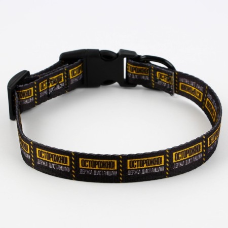 Collar "carefully", fastener - fastx, 2 cm 25-40 cm-4