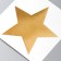 Tattoo on the body Gold "Star" 6x6 cm