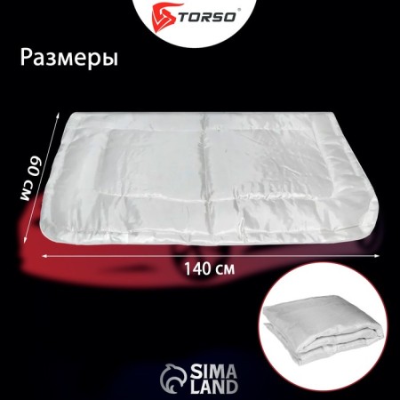 Authorized for the Torso engine, 140 x 60 cm-2