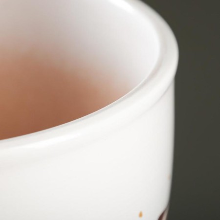 Flower vanilla pot 2.5 l-1