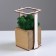 Kashpo Composition with Moss "Briovud", stabilized moss: Forest Green (Green Forest)