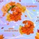 Carnival set "Autumn Muse": skirt, wreath, wand