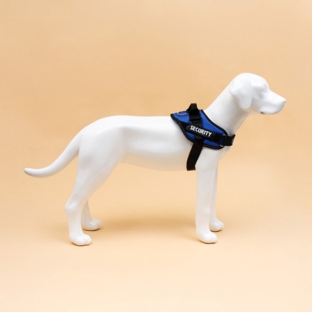 C9 sloping is soft reflective, size m, og 55-65 cm, weight 11-20 kg, blue-3