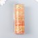 Sticky tape Paper "Citrus" set 20 pcs width. 0.5 cm dl. 2 m 4x10 cm